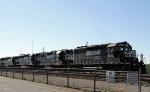 NS 3442 leads an all-EMD lashup on train P84